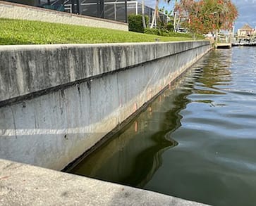 Seawall Repair Willard